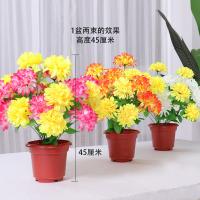 uploads/erp/collection/images/Home Garden/CongDing/XU0610722/img_b/XU0610722_img_b_2
